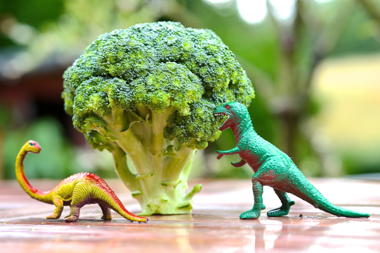 Dinosaur Broccoli Tree